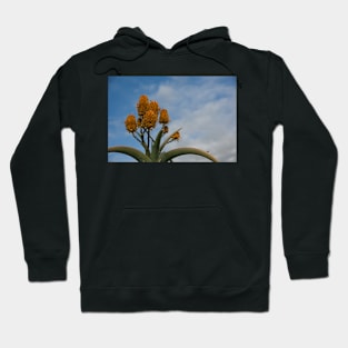 Orange Cactus Hoodie